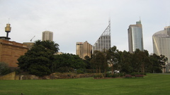 Trees Skyscrapers cities