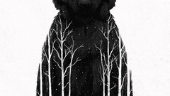 Trees snow black and white Birds white background Wolves 