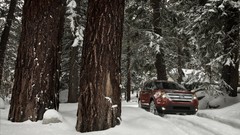 Trees snow cars Ford