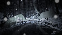 Trees snow Christmas spirit