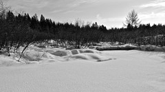 Trees snow Frozen widescreen monochrome rivers