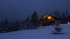 Trees snow houses cabin
