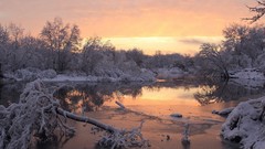 Trees snow ice frost rivers