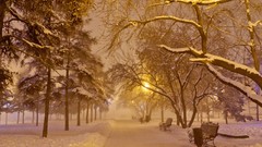 Trees snow ice park bench