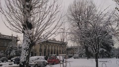 Trees snow Italy Milano