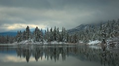 Trees snow lakes pine trees