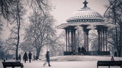 Trees snow monochrome