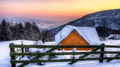 Trees snow Mountains