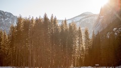 Trees snow Mountains