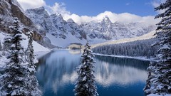 Trees snow Mountains forests