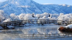 Trees snow Mountains frost Bridges