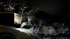 Trees snow night Norway hotels window panes