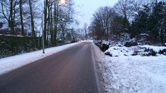 Trees snow roads The Netherlands