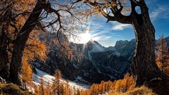 Trees snow sun Mountains summer spring