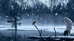 Trees snow winter Animals Wolves Owls ponds