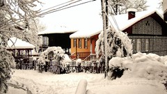 Trees snow winter architecture houses buildings