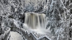 Trees snow winter black and white cold walkway