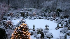 Trees snow winter Christmas