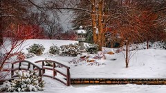 Trees snow winter cold Bridges Parks
