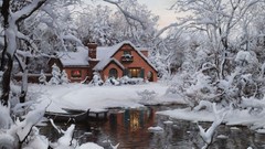 Trees snow winter cold Wonderland House ponds