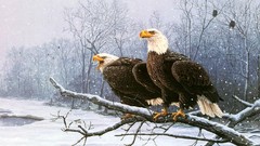 Trees snow winter Eagles frozen lake