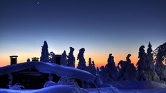 Trees snow winter Frozen skyscapes