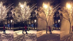Trees snow winter fun santa claus