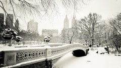 Trees snow winter Manhattan Bridges Central Park new york city