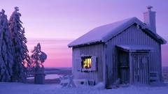 Trees snow winter moonlight sweden cabin