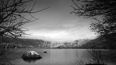 Trees snow winter Mountains cold Spain lakes grayscale