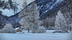 Trees snow winter Mountains houses cabin
