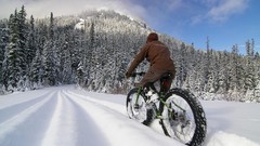 Trees snow winter Mountains roads Bicycles