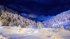 Trees snow winter night Stars blue dark white light Cover
