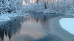 Trees snow winter rivers