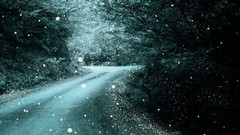 Trees snow winter roads scenic