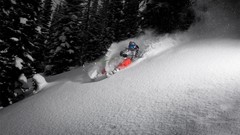 Trees snow winter Sports Skiing