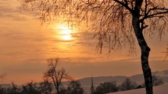 Trees snow winter sun blue ice houses skies
