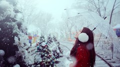 Trees snow woman Umbrellas asians brunettes