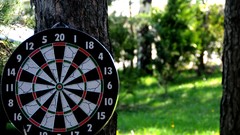 Trees Sports Green Wood darts resort