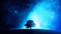 Trees Stars blue galaxies blue skies