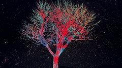 Trees Stars colors colored skies outer space simplistic