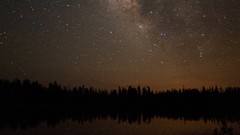 Trees Stars Milky Way skies skyscapes