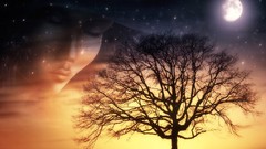 Trees Stars moon digital