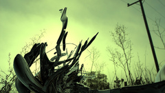 Trees streets Desktopography skyscapes