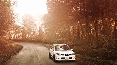 Trees Subaru white cars