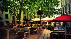 Trees summer Green France urban cityscapes terrasse