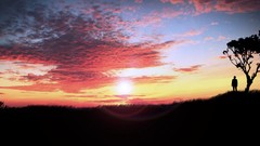 Trees sun clouds sunlight