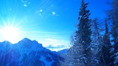 Trees sun Mountains Alps Italy peaks Kronplatz