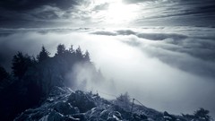 Trees sun Mountains clouds skies