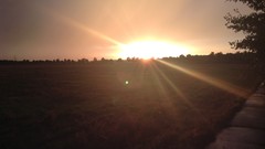 Trees sun storm fields sundown